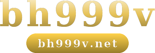 bh999v logo